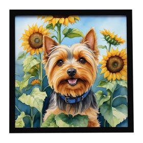 Silky Terrier in Sunflowers Framed Metal Print Bathroom, Kitchen, Office, Home Decor Wall Art Ready to Hang, Square, 8X8