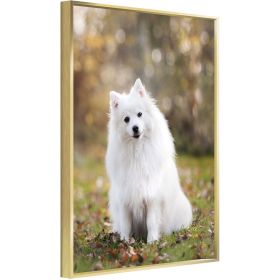 Custom Canvas Prints With Your Photos for Pet Family Photo Prints Personalized Canvas Aluminum Alloy Framed Wall Art (gold: 16*24)