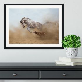 Lusitanian horse is playing with the Rhodesian Ridgeback dog Framed Print (Color: White/No White Edging, size: 12" x 8" / 30cm x 20cm (approx))