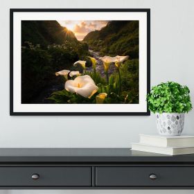 Calla Lily World Framed Print (Color: Natural/No White Edging, size: 24" x 16" / 60cm x 40cm (approx))