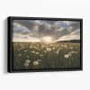 Lightbulbs Floating Framed Canvas