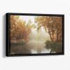 Foggy Autumn Floating Framed Canvas