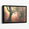 Fangorn Forest Floating Framed Canvas