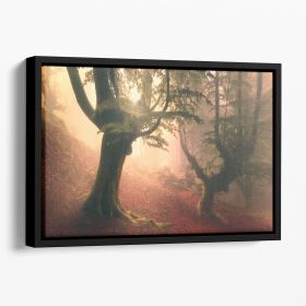 Fangorn Forest Floating Framed Canvas (Color: Black, size: 24" x 16" / 60cm x 40cm (approx))