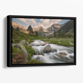 Maritime Alps Park Floating Framed Canvas (Color: Black, size: 24" x 16" / 60cm x 40cm (approx))