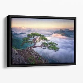 On The Rock Floating Framed Canvas (Color: Black, size: 16" x 12" / 42cm x 30cm (approx))