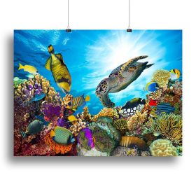 Colorful coral reef Canvas Print or Poster (Type: Standard Framed Canvas Print, size: 40" x 26" / 100cm x 65cm (approx))