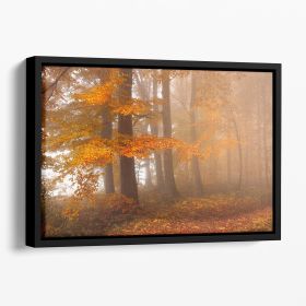 Edge Of The Woods Floating Framed Canvas (Color: Black, size: 40" x 26" / 100cm x 65cm (approx))