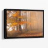 Edge Of The Woods Floating Framed Canvas