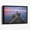 Petit Minou Floating Framed Canvas