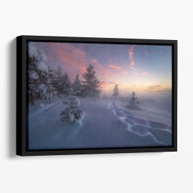 Winter Steps Floating Framed Canvas (Color: Black, size: 24" x 16" / 60cm x 40cm (approx))