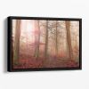 Forest Scene Floating Framed Canvas