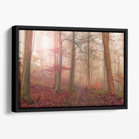 Forest Scene Floating Framed Canvas (Color: Black, size: 36" x 24" / 90cm x 60cm (approx))