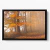Edge Of The Woods Floating Framed Canvas