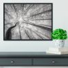 Spring Crown Of Trees Framed Print