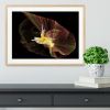 Dancer With Light Framed Print