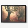 Fangorn Forest Floating Framed Canvas