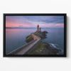 Petit Minou Floating Framed Canvas