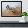 Lusitanian horse is playing with the Rhodesian Ridgeback dog Framed Print