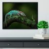 Chamelon Catching Its Prey Framed Print