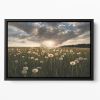Lightbulbs Floating Framed Canvas