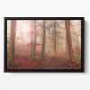 Forest Scene Floating Framed Canvas