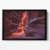 Antelope Floating Framed Canvas